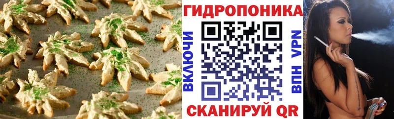 кракен вход  Соль-Илецк  даркнет клад  Canna-Cookies марихуана 