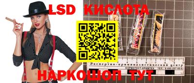 ПСИЛОЦИБИНОВЫЕ ГРИБЫ Гусев