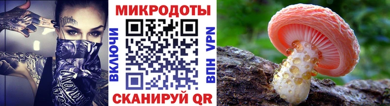 купить  сайты  Соль-Илецк  Псилоцибиновые грибы прущие грибы 