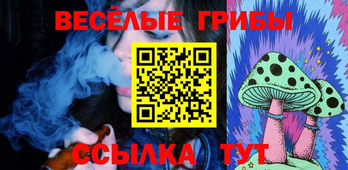 Галлюциногенные грибы Psilocybine cubensis Соль-Илецк